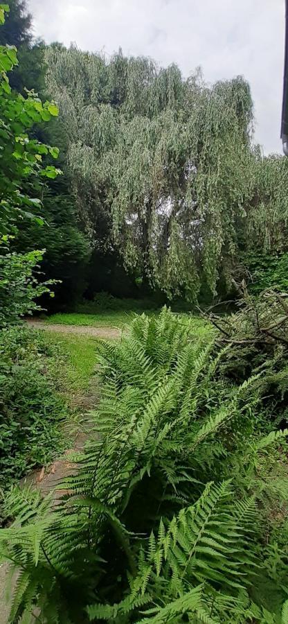 Fewo Im Naturschutzgebiet Hiddenhausen Kültér fotó