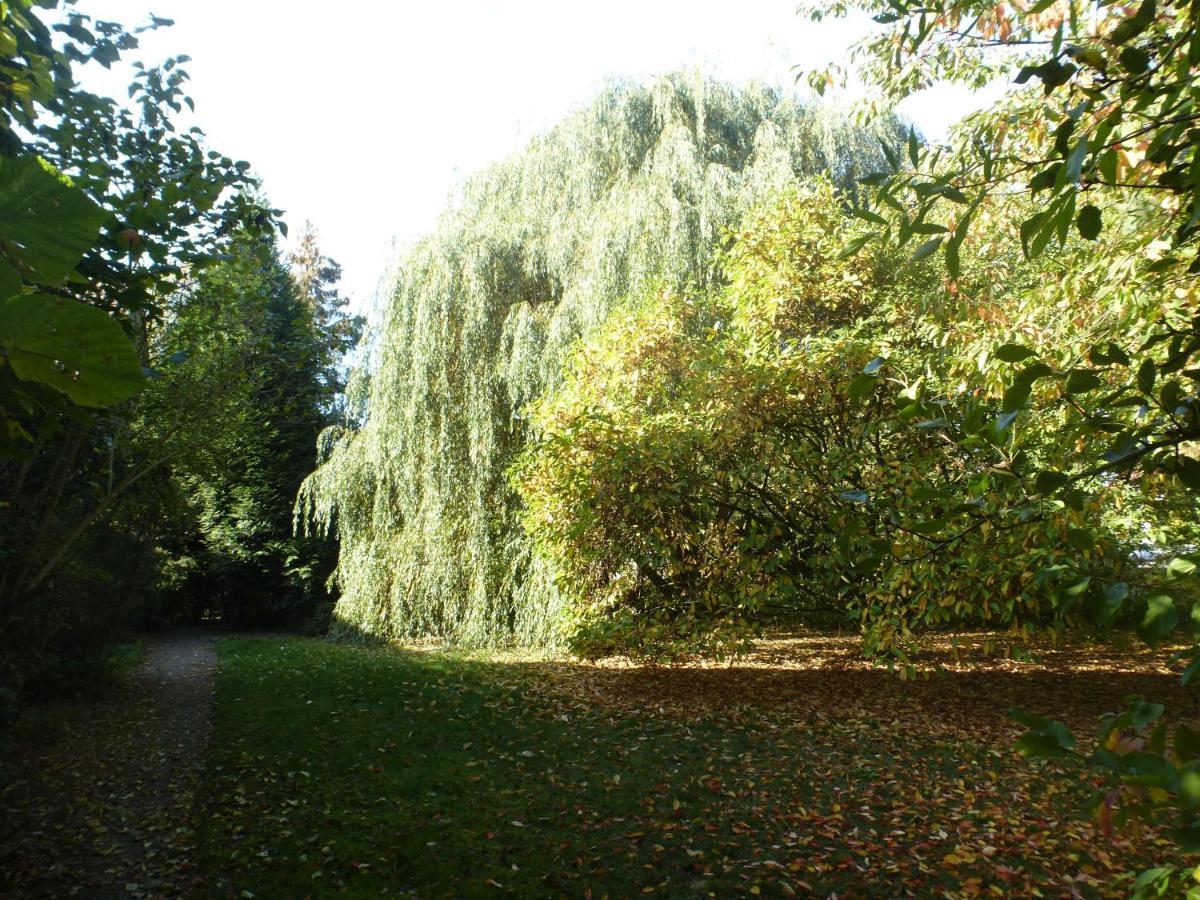 Fewo Im Naturschutzgebiet Hiddenhausen Kültér fotó