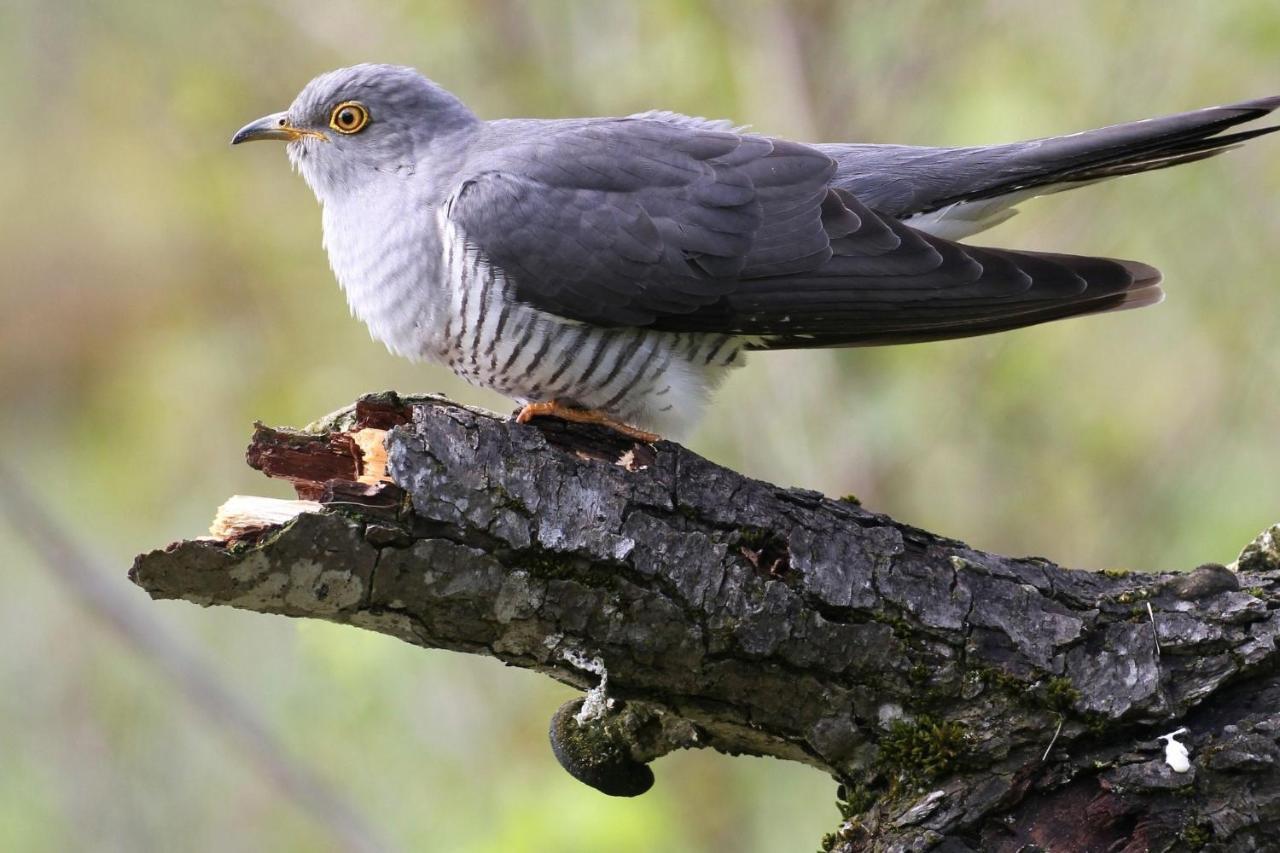 Fewo Im Naturschutzgebiet Hiddenhausen Kültér fotó