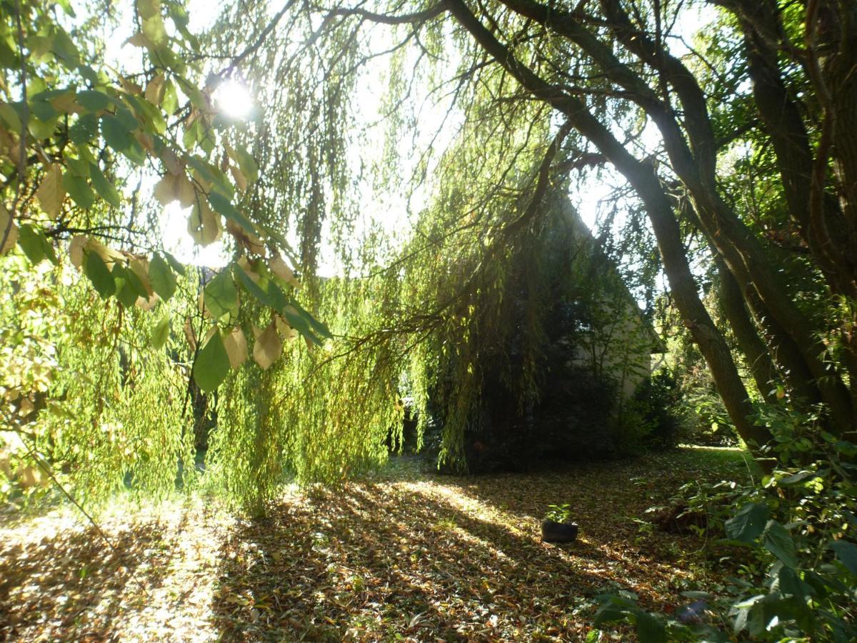 Fewo Im Naturschutzgebiet Hiddenhausen Kültér fotó