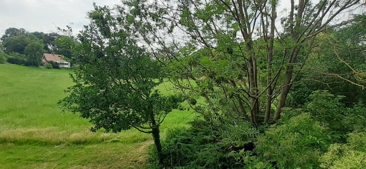 Fewo Im Naturschutzgebiet Hiddenhausen Kültér fotó